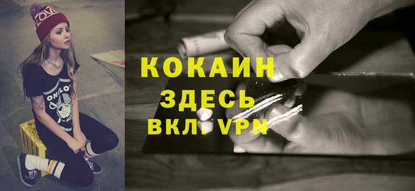 тгк Алзамай