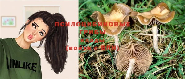 тгк Алзамай
