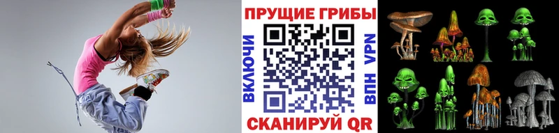 Псилоцибиновые грибы мухоморы  даркнет сайт  Чадан 